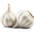 https://www.bossgoo.com/product-detail/sell-fresh-vegetable-garlic-bulk-price-61165159.html